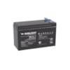 BATTERIE RECHARGEABLE 12V/7AH