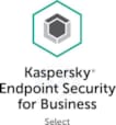 Endpoint Security for Business 1 year Base License KL48638APFS