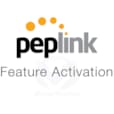 WAN Port Activation License for Balance 20 BPL-021-LC-WAN