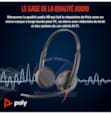 POLY CASQUE Blackwire 3225 Stereo USB-C Headset +3.5mm Plug +USB-C/A Adapter 12 Mois 8X229AA