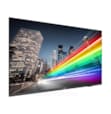 Téléviseur Professionnel 43" (109 cm) LED 4K Ultra HD 16h/7j Noir 43BFL2214/12