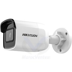 Caméra réseau mini-balle fixe WDR 2 MP DS-2CD2021G1-I