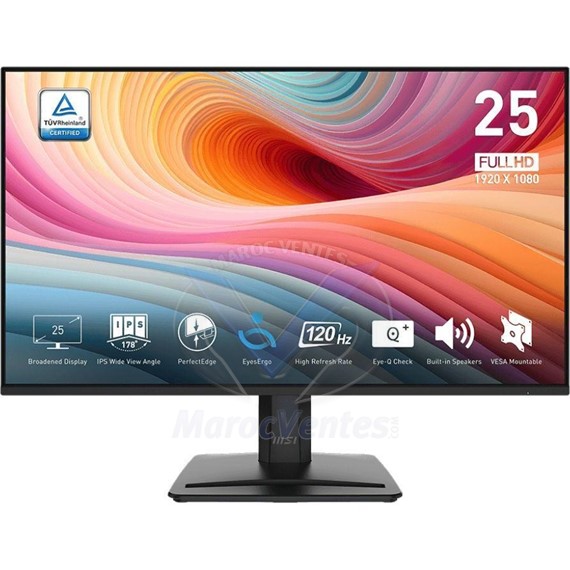 MSI MONITEUR PRO MP251L E2 9S6-3PD2CM-033