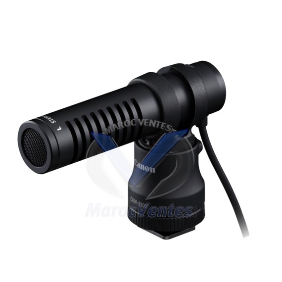 Microphone stéréo DM-E100 DM-E100