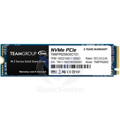 Disque Dur Interne SSD TEAM LITE M2-2280 PCI-E GEN3X4 MP33 512GB NVME