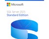 SQL Server Standard 2025 Commercial Perpetual DG7GMGF0VNJS:0002