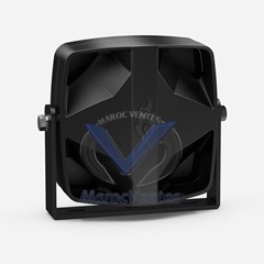 Haut-parleur VANGUARD 100W
