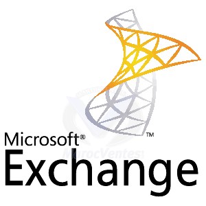 Exchange Online Plan1 Open ShrdSvr SNGL Q6Y-00003