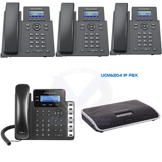 Pack de Téléphonie IP Grandstream UCM6204 PACK UCM6204